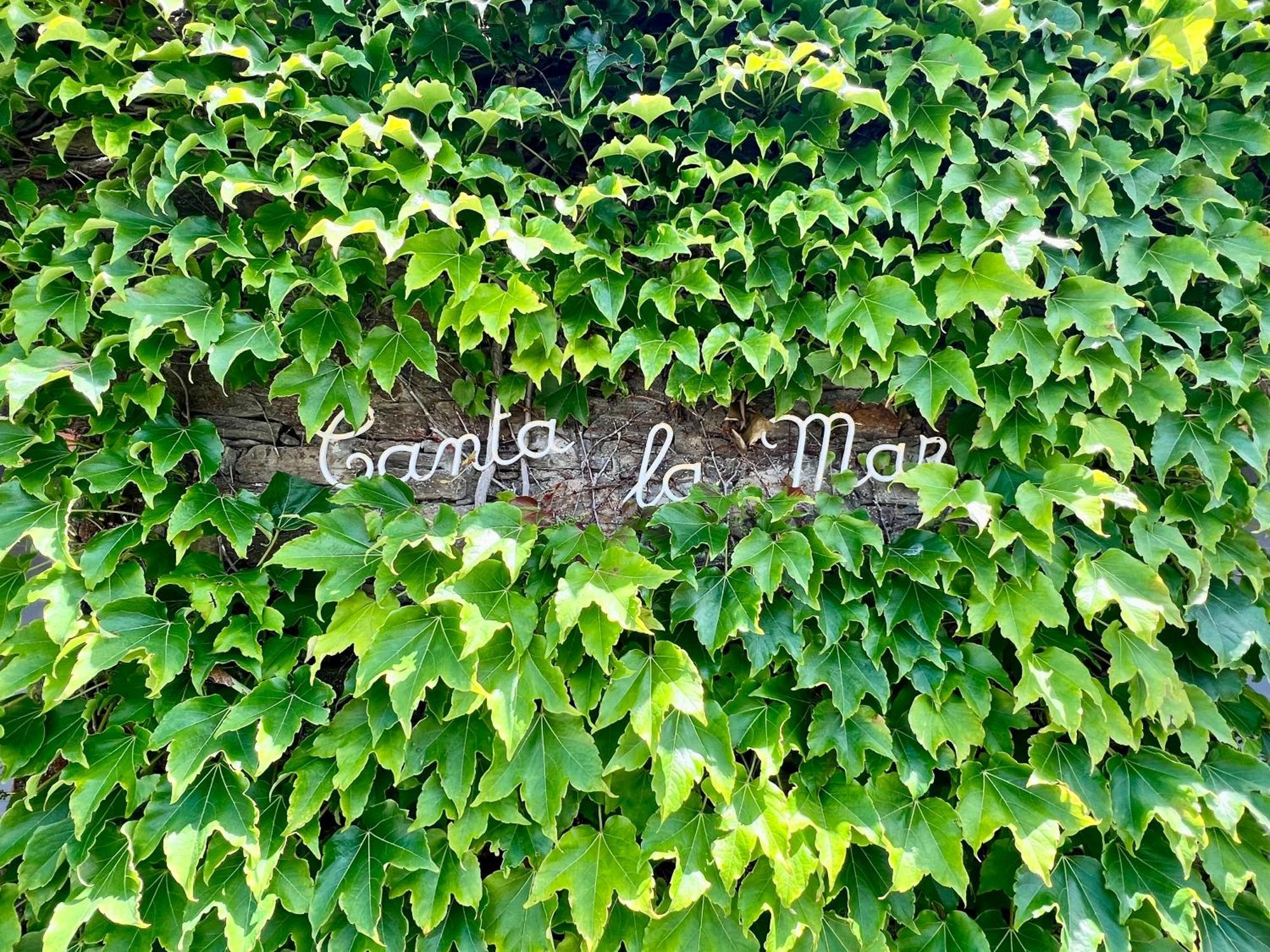 Canta La Mar - Vue Exceptionnelle Collioure Exterior photo